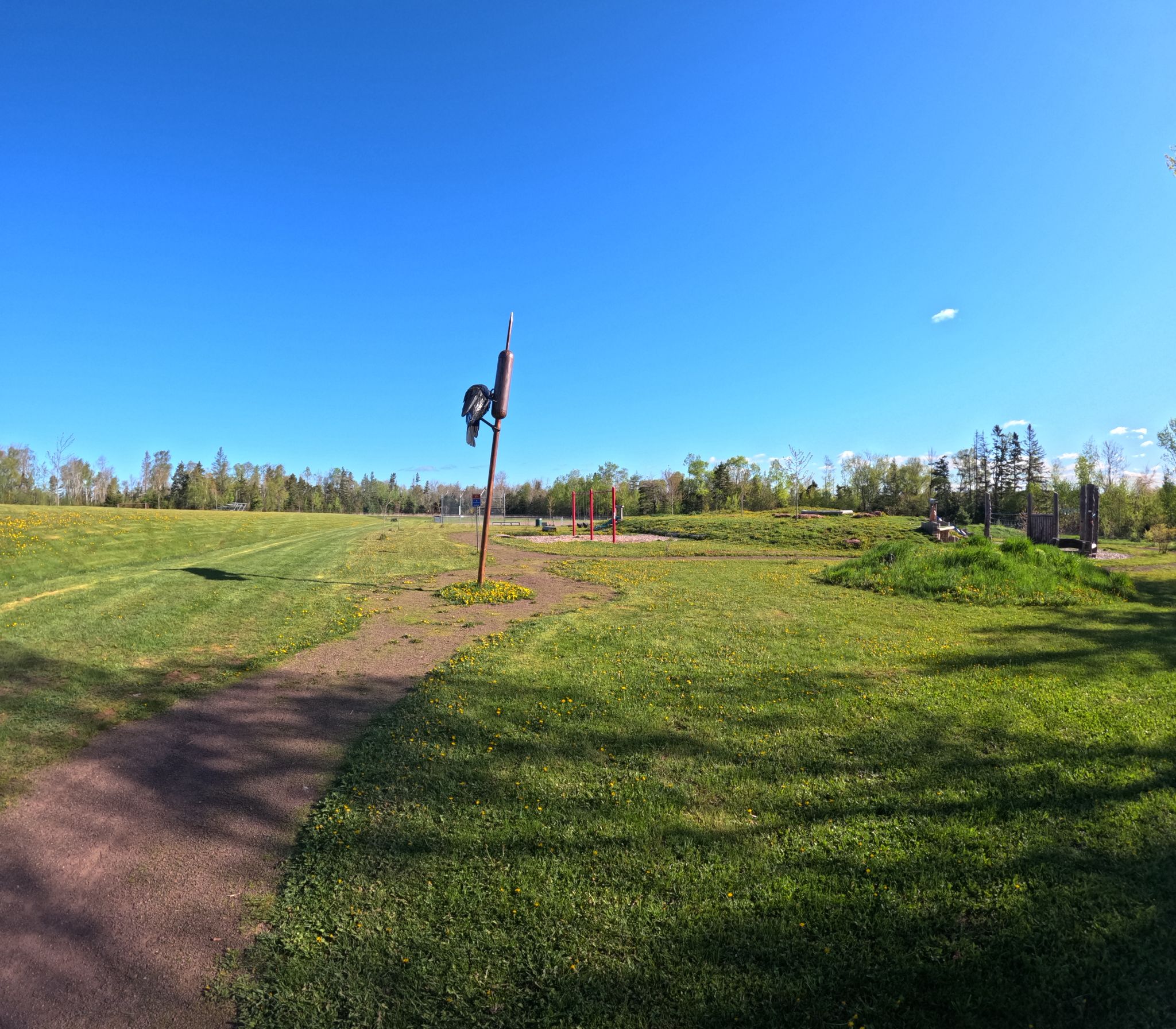 Fullerton's Creek Conservation Park forested trail, Stratford PEI